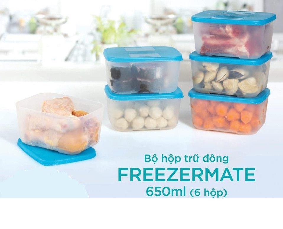 Bộ Hộp Trữ Đông Tupperware Freezermate 650ml (6 Hộp)