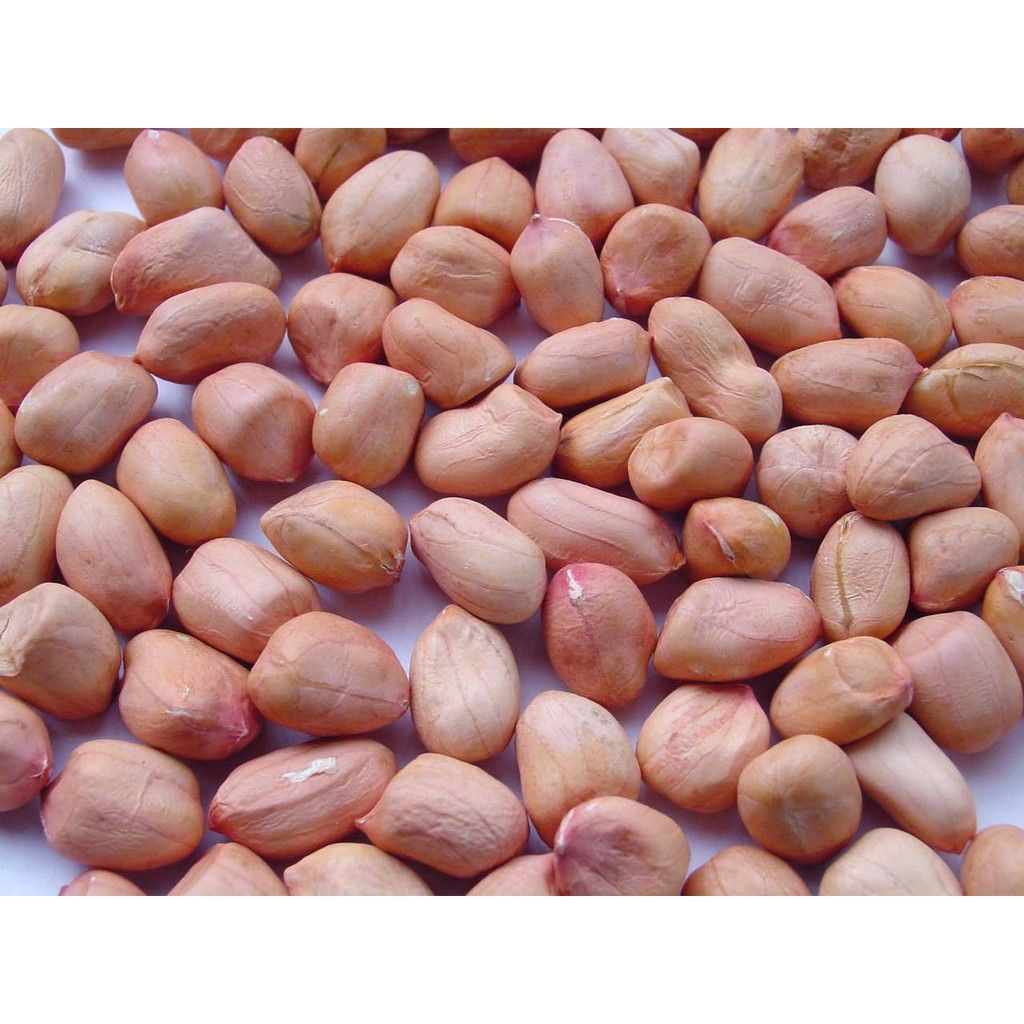 1 K&yacute; Đậu Phộng Sống
