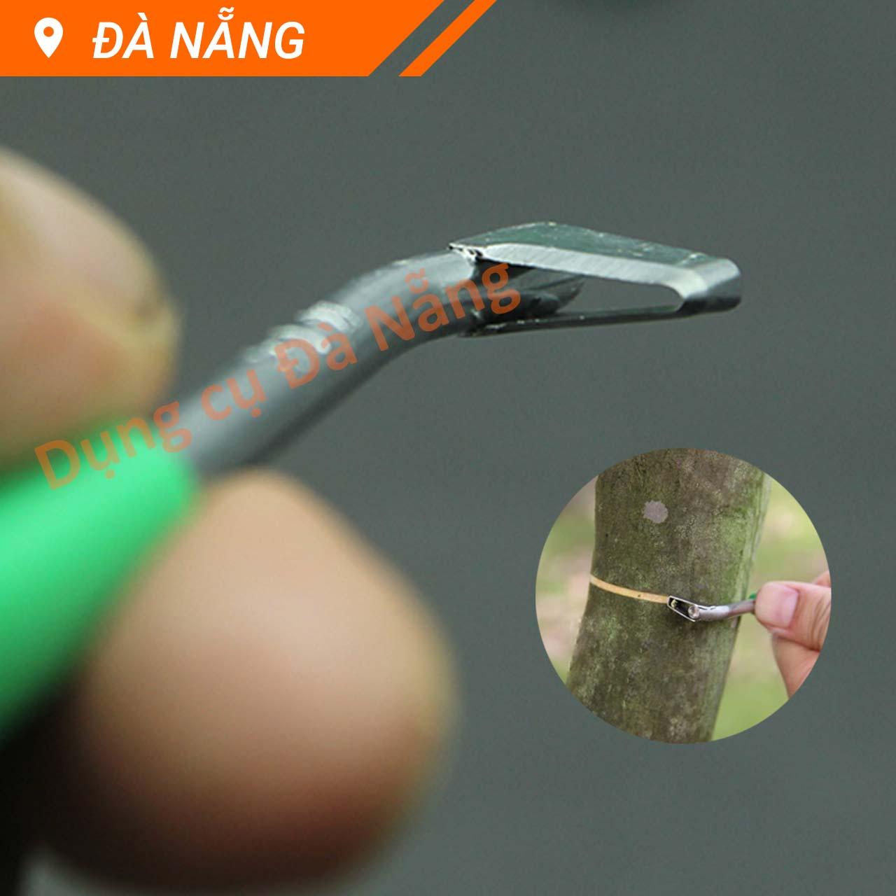 Khoanh vỏ cây trồng các cỡ