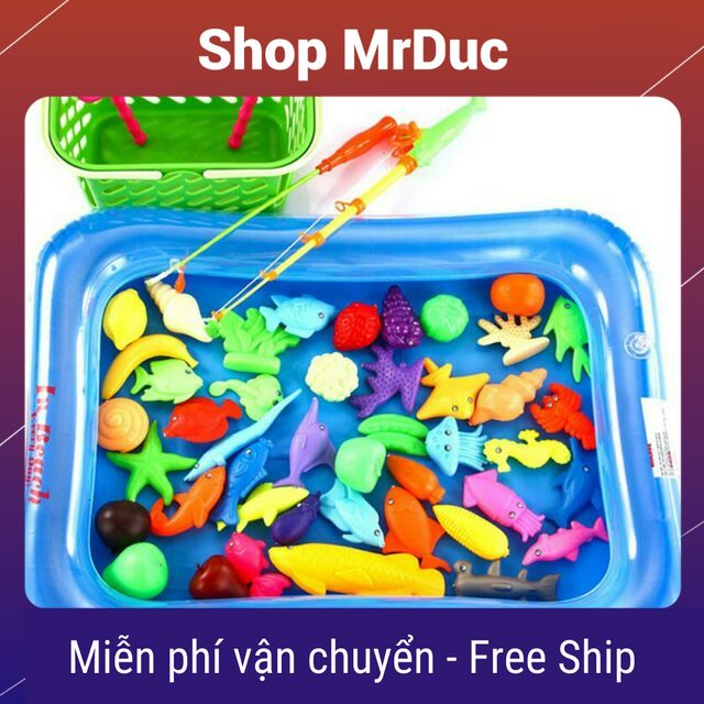 Bộ đồ chơi câu cá - Hình Rổ Đựng, sinh vật biển và màu Ngẫu Nhiên DTK54803287 - Shop MrDuc