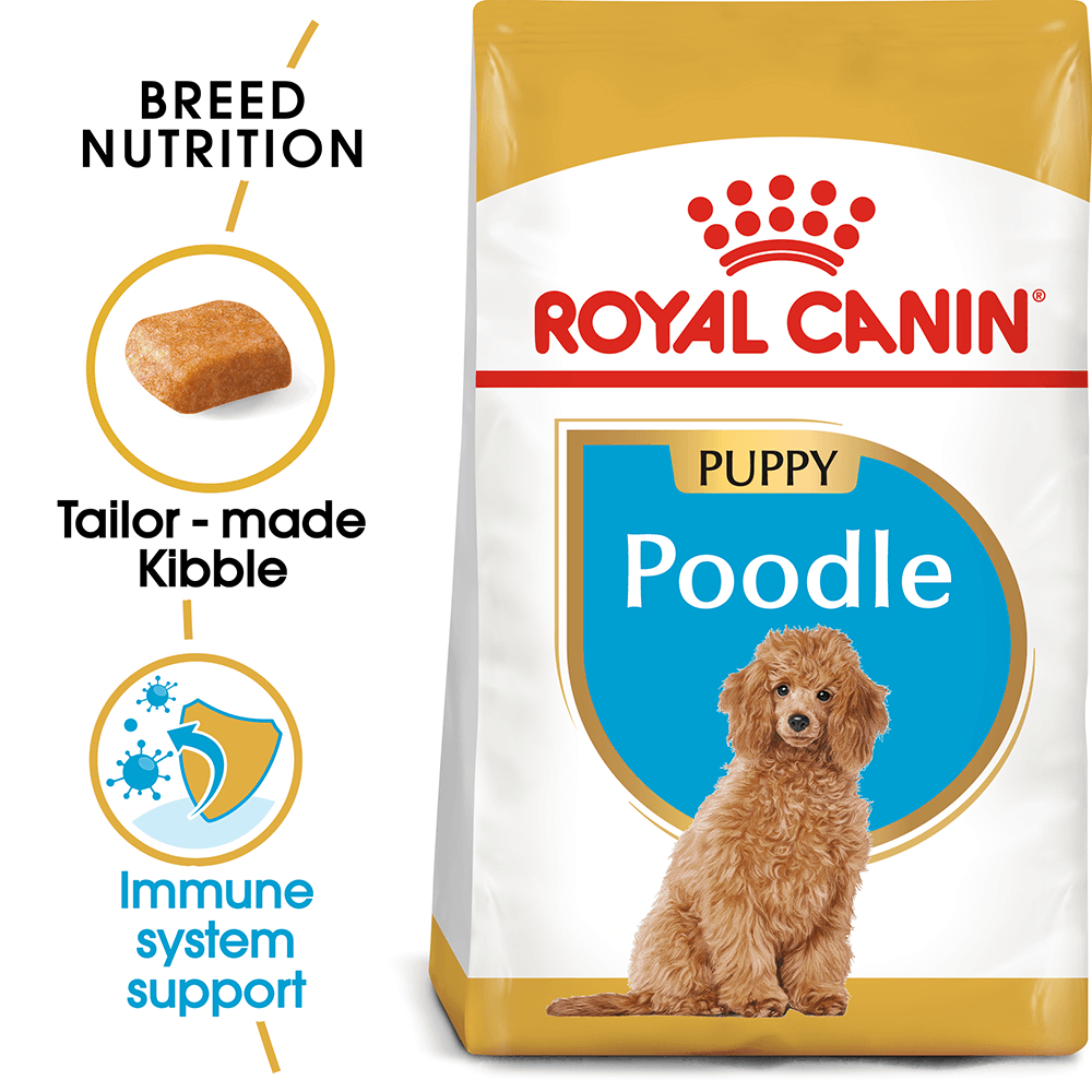 HAT KHÔ ROYAL CANIN POODLE PUPPY - 500G