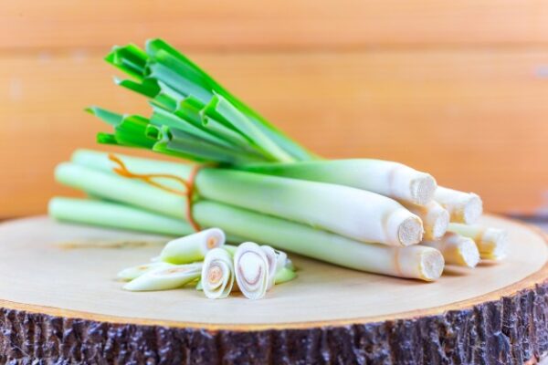 Sả Chanh ( Sả ) Nguyên Bụi Cả rễ [ 1 kg ].