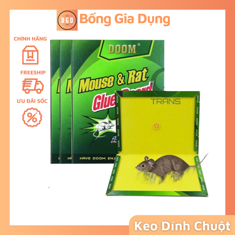 Combo 3 Keo Dính Chuột Mẫu Mới Kèm Mồi Siêu Dính