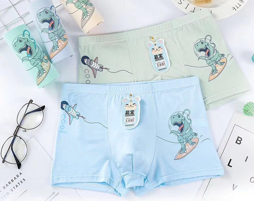 COMBO 5 QUẦN CHIP BÉ TRAI THUN SỊN IN GẤU (28-33kg )