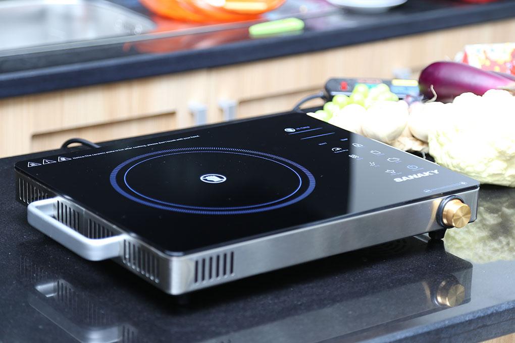 Bếp hồng ngoại Sanaky SNK-2524HGN.