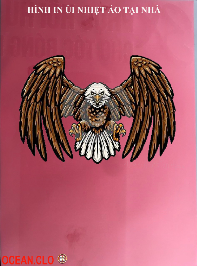 Logo American Eagle