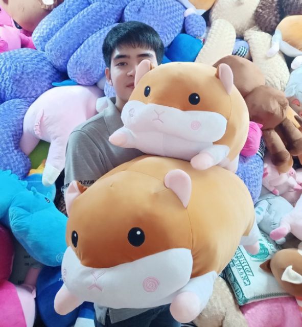 GẤU BÔNG CHUỘT HAMSTER SIÊU HOT