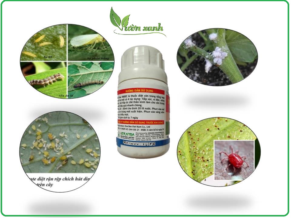 Chế phẩm diệt côn trùng Thần điền 100ml chuyên rệp, trĩ, nhện đỏ,....
