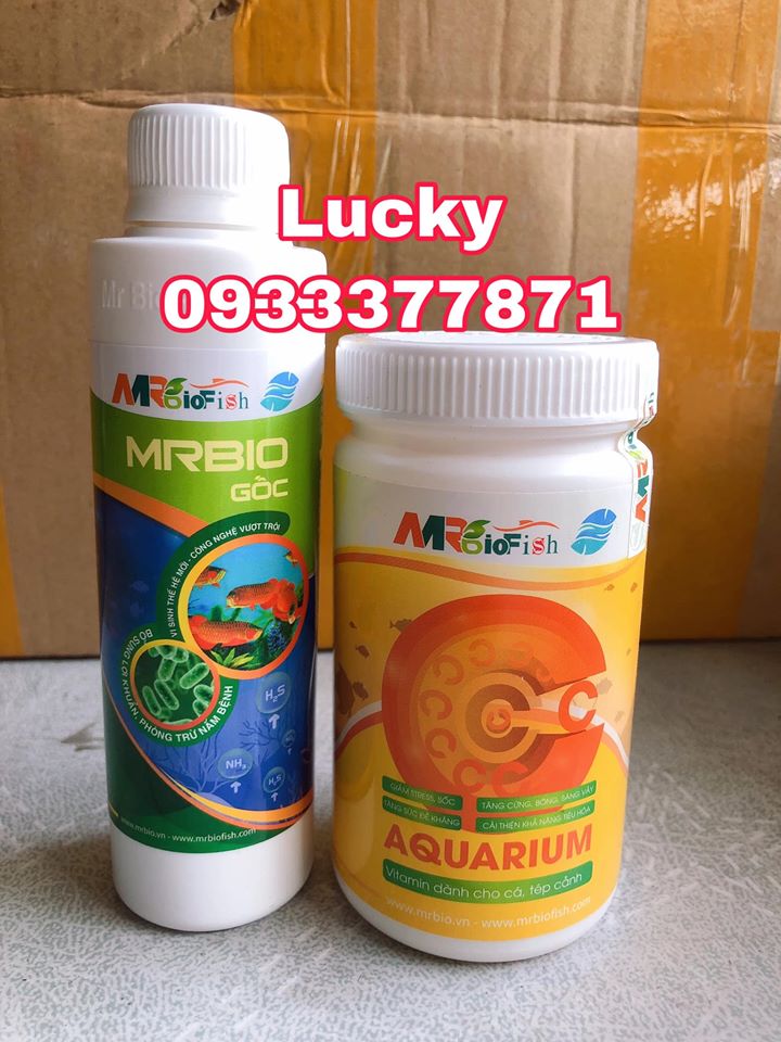 Combo Men Vi Sinh và Vitamin C của Mr Bio Fish cho hồ cá cảnh - HÀNG CÔNG TY