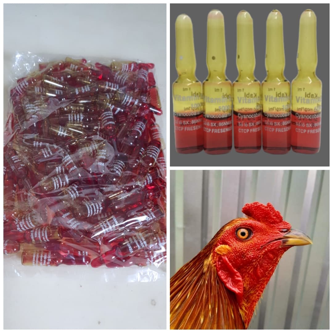 vitamin b12 - 1000mcg -- bổ máu - HIẾU CHIẾN - BAY LỰC MẠNH -- tăng sắc nét cho gà đá [ hộp 100 ống ]