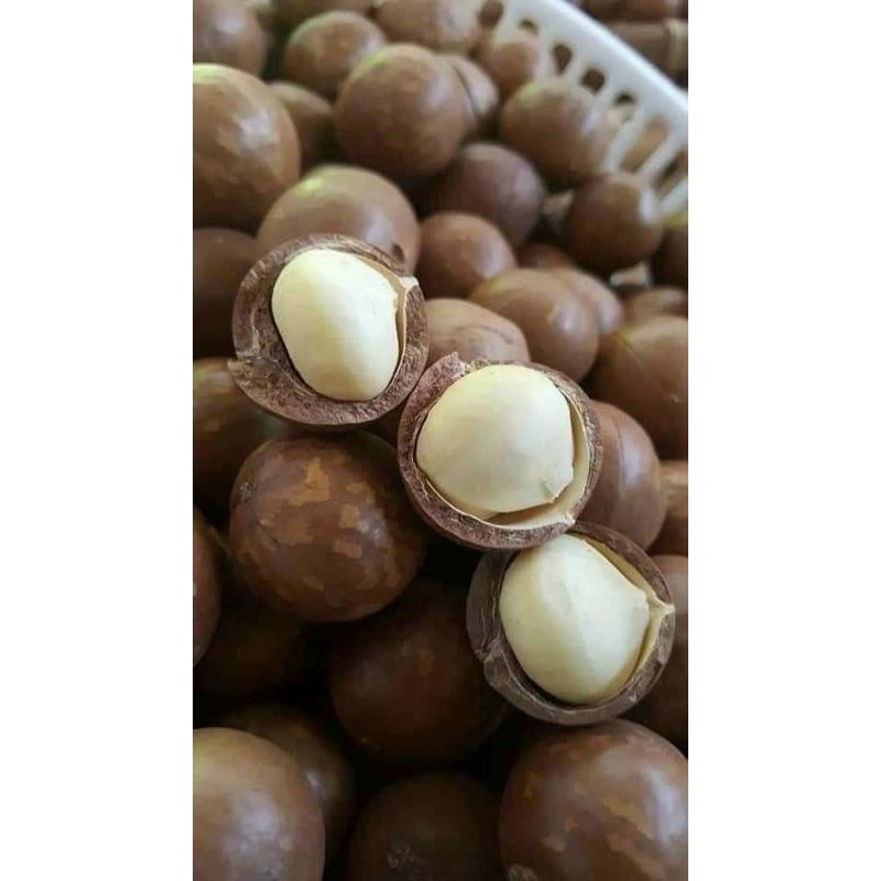 500GR Hạt Macca Sấy Nứt Vỏ Loại 1