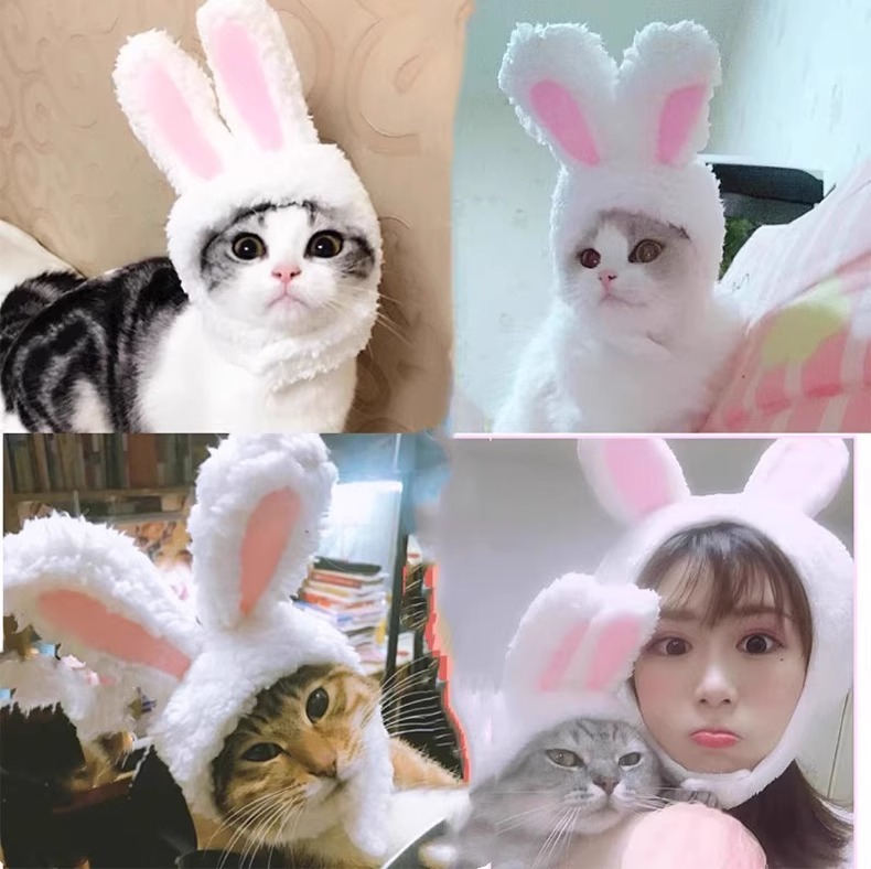 Nón tai thỏ 4 màu cho chó mèo - T3 PETS SHOP