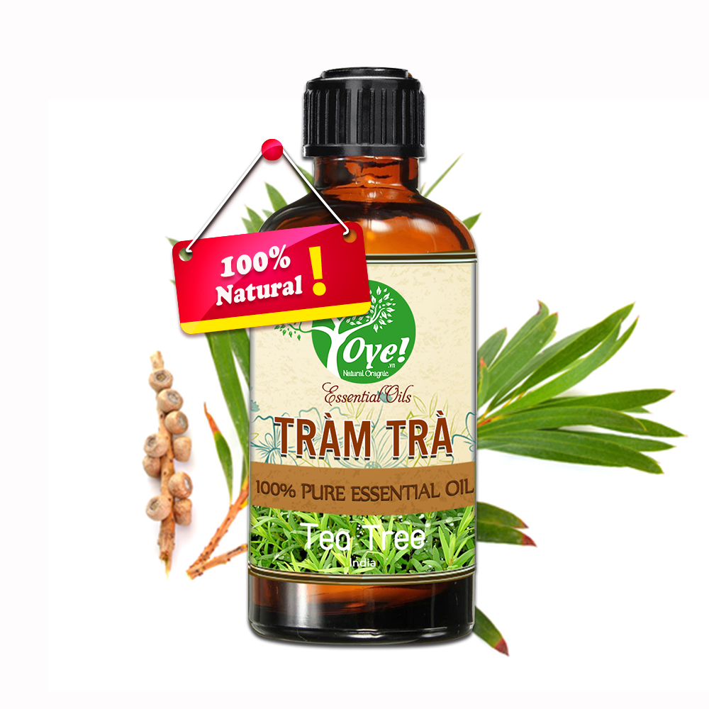 Tinh Dầu Tràm Trà  Đuỗi Muỗi - OYe 10ml