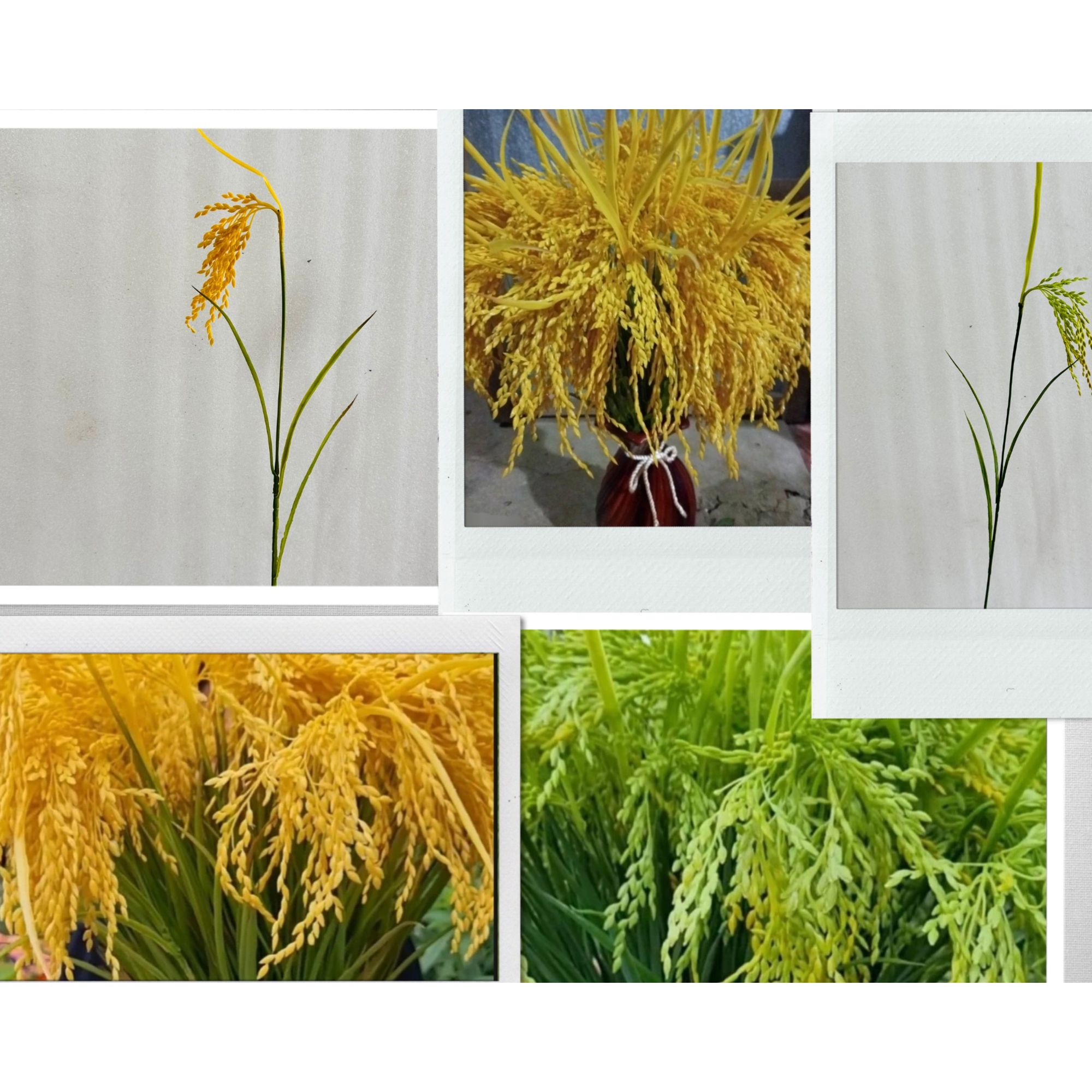 LÚA GIẢ. CÂY LÚA GIẢ 2 MÀU XANH ,VÀNG ( CAO 70CM)