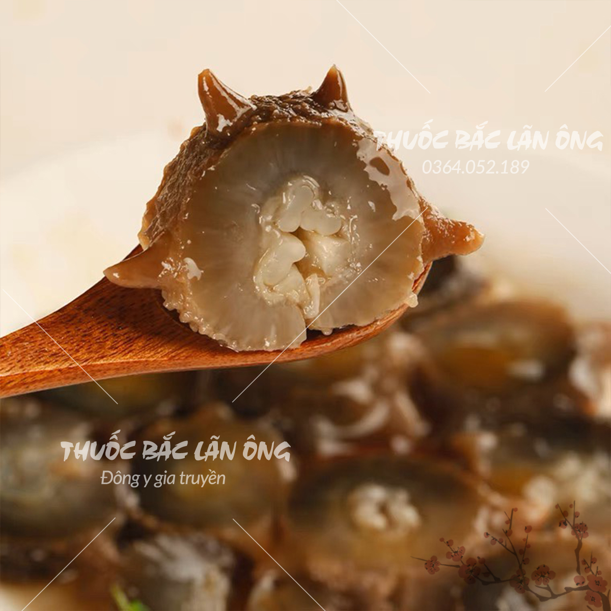 Hải sâm đen khô cao cấp 100g ( Dinh dưỡng, bổ thận, nhuận tràng )