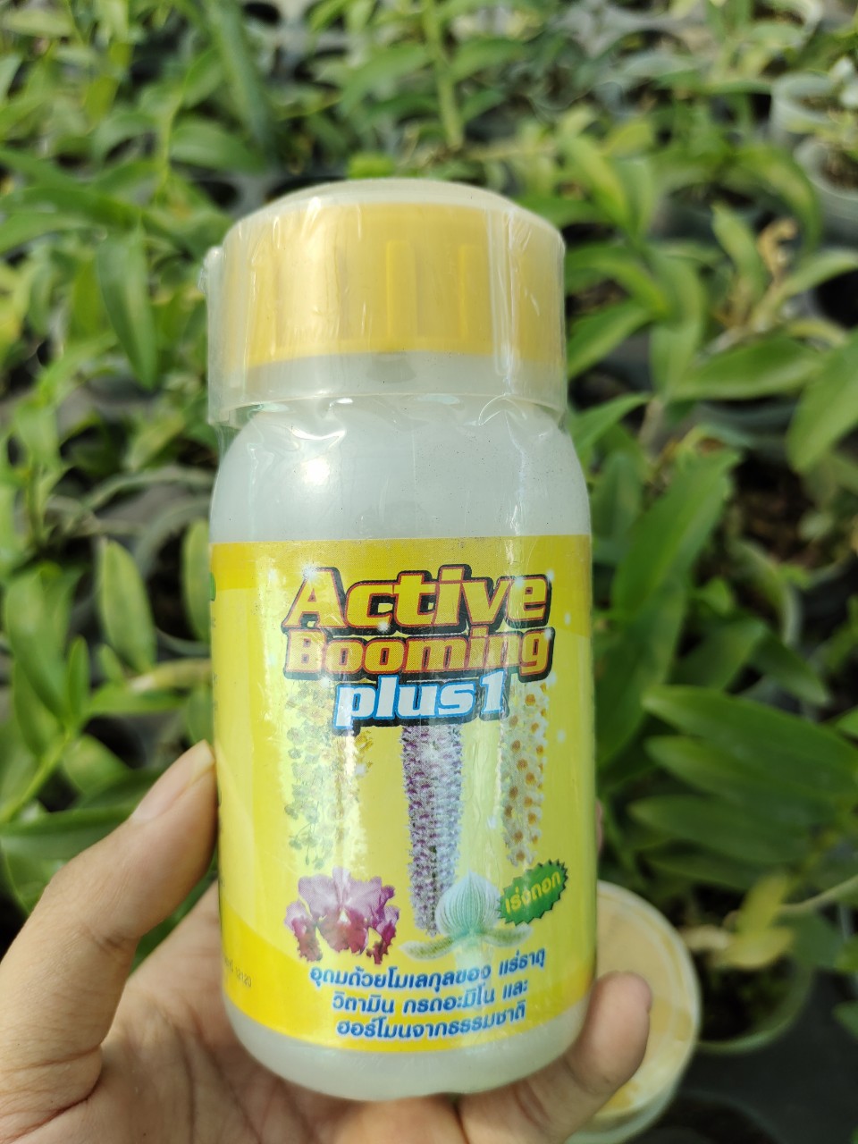 Phân Bón  Active Booming Plus 1 & Plus 2 (kích hoa – tăng trưởng)