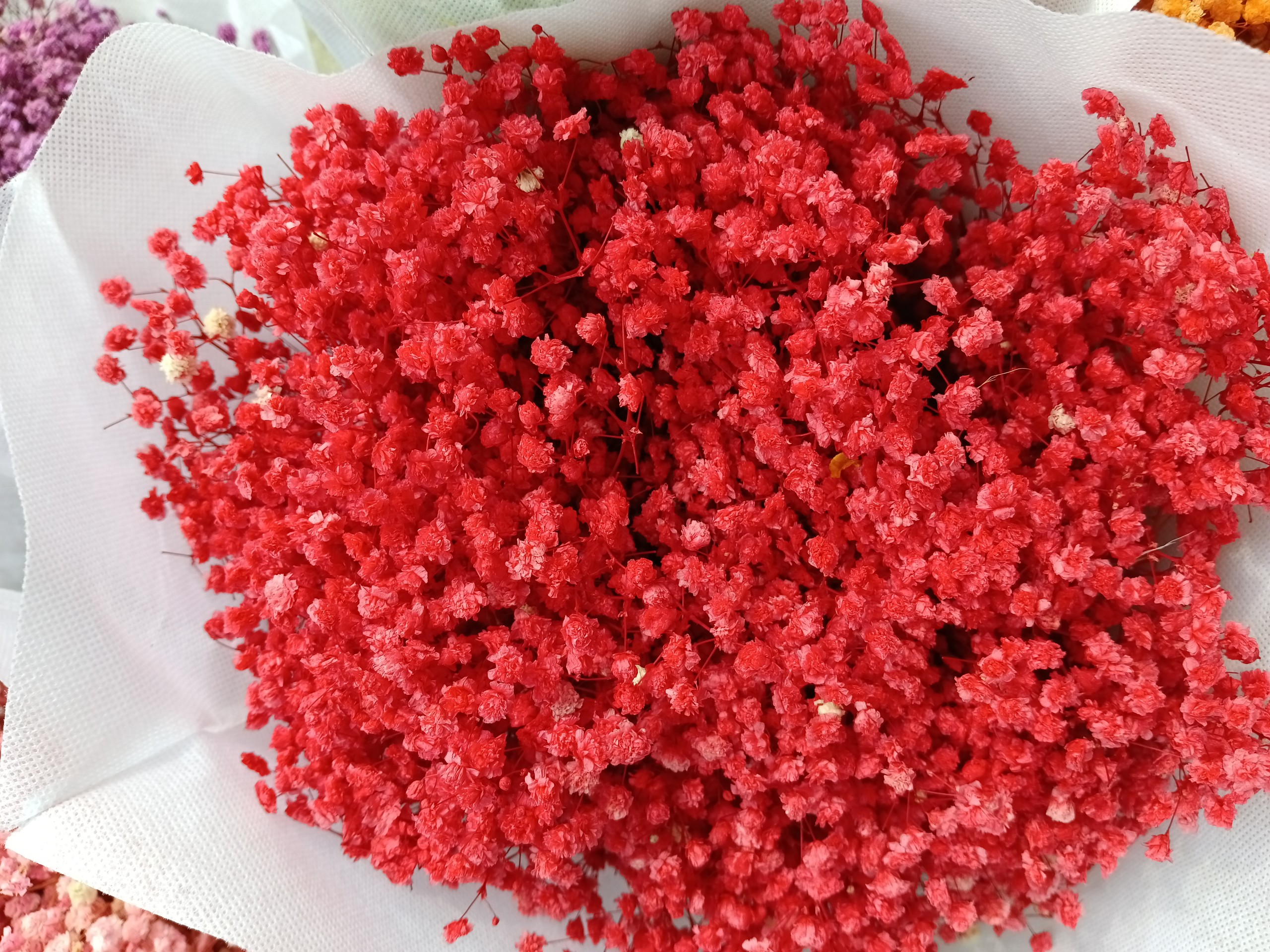hoa khô - hoa baby - bó 10g