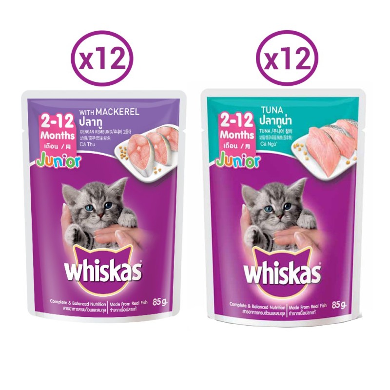Combo 24 túi mix 2 vị thức ăn pate cho mèo con Whiskas 85g/túi