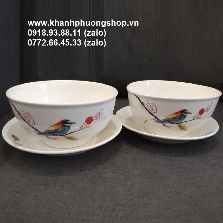 [HCM]tô sứ - tô sứ trắng