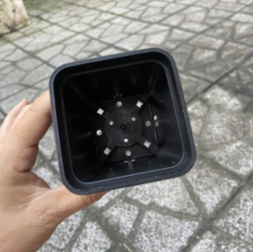 Chậu nhựa kích thước 7x7cm trồng sen đá