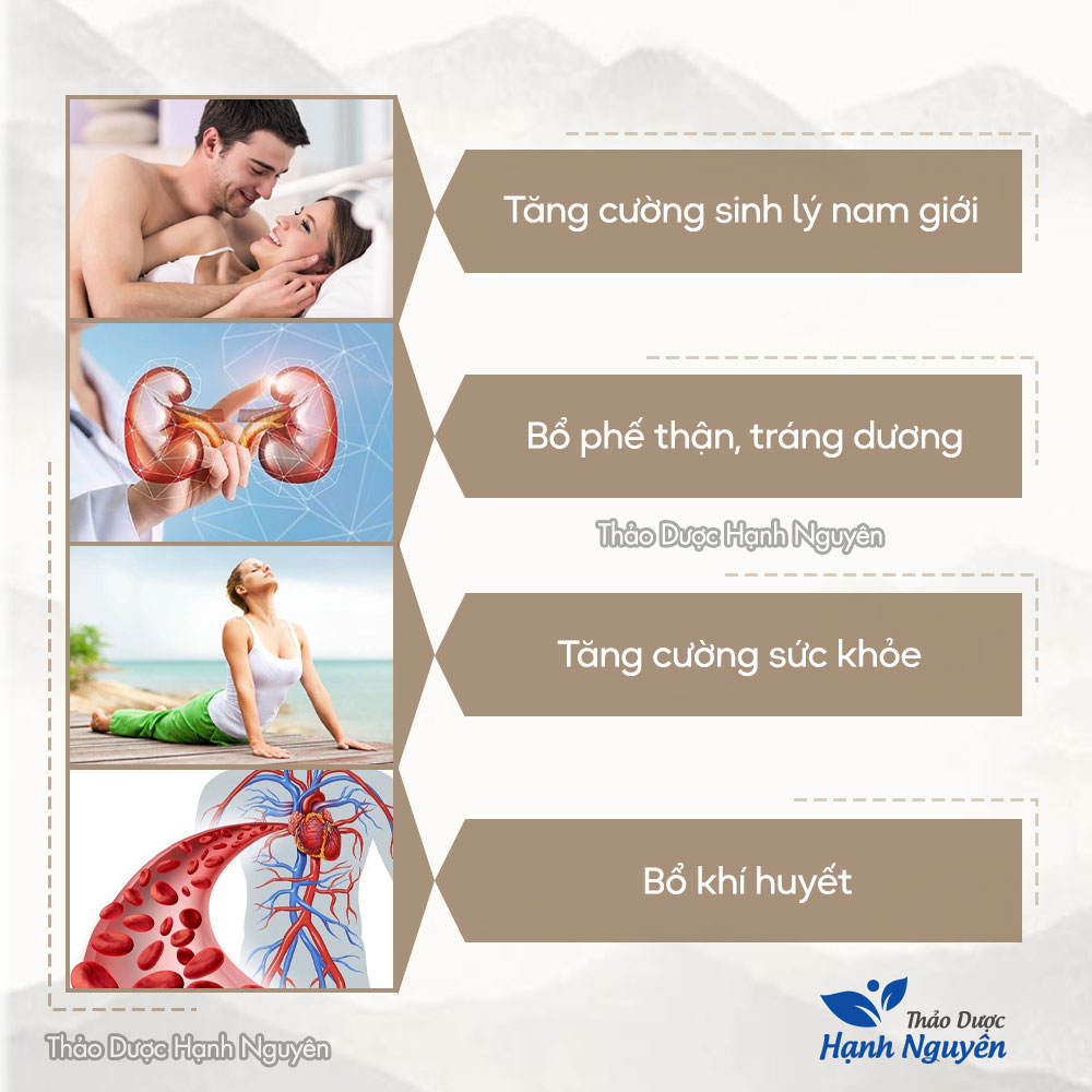 Trà bổ thận (1 Gói mix sẵn bồi bổ sức khỏe tăng cường thể lực) - Thảo Dược Hạnh Nguyên