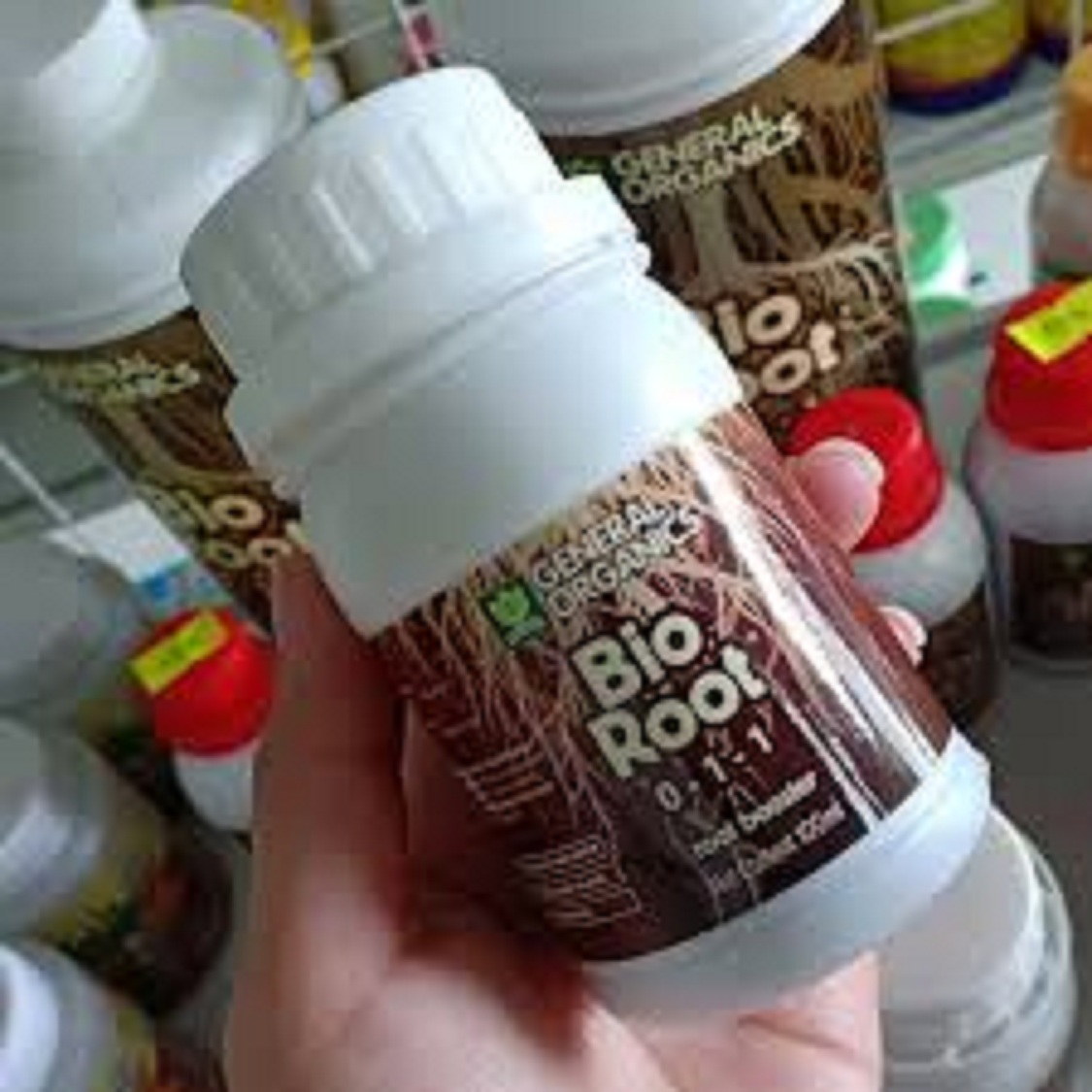 Bio Root 100ml – Phân bón kích rễ cực mạnh nhập khẩu từ Mỹ
