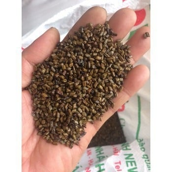 Hạt Muồng Muồng 1kg - đồ chơi xúc cát