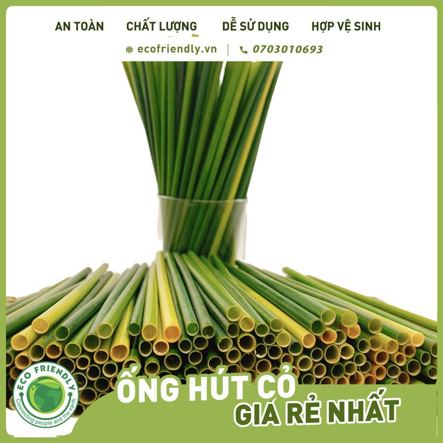 [Combo 2 Hộp] Ống hút cỏ bàng 20 cm - 100 ống/hộp