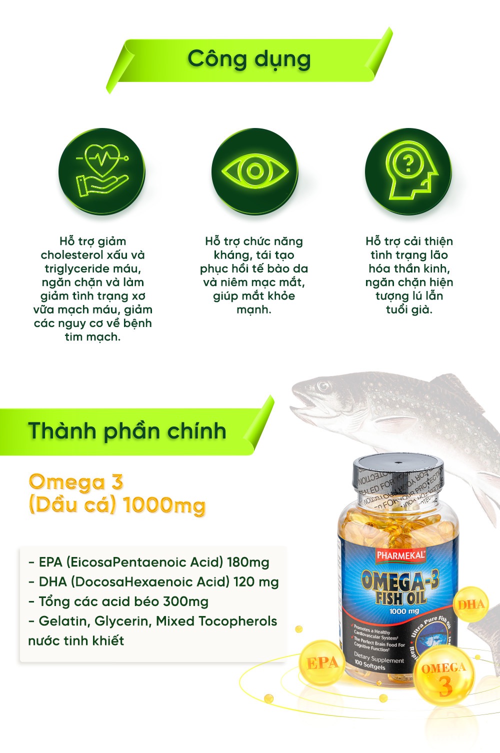 Combo Hỗ Trợ Tim Mạch, Omega 3 & CoQ10
