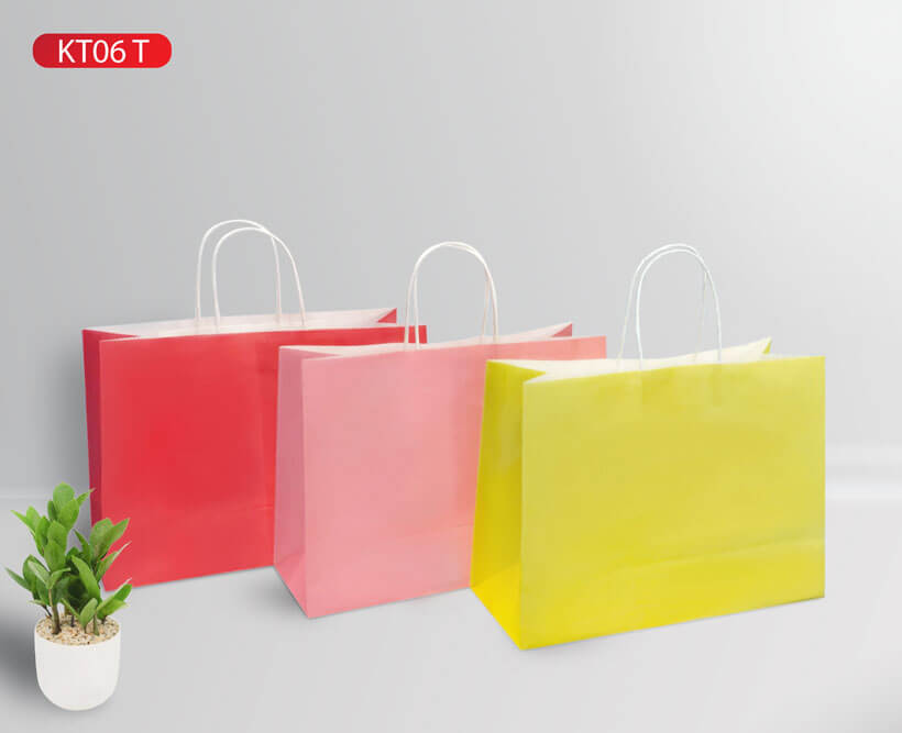 Combo 10 Túi Giấy KT06T - nhiều màu (KT: 26 x 36 x 13)