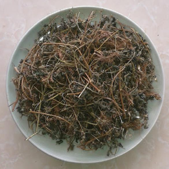 cây bọ mắm khô (thuốc dòi) thân tím 1kg
