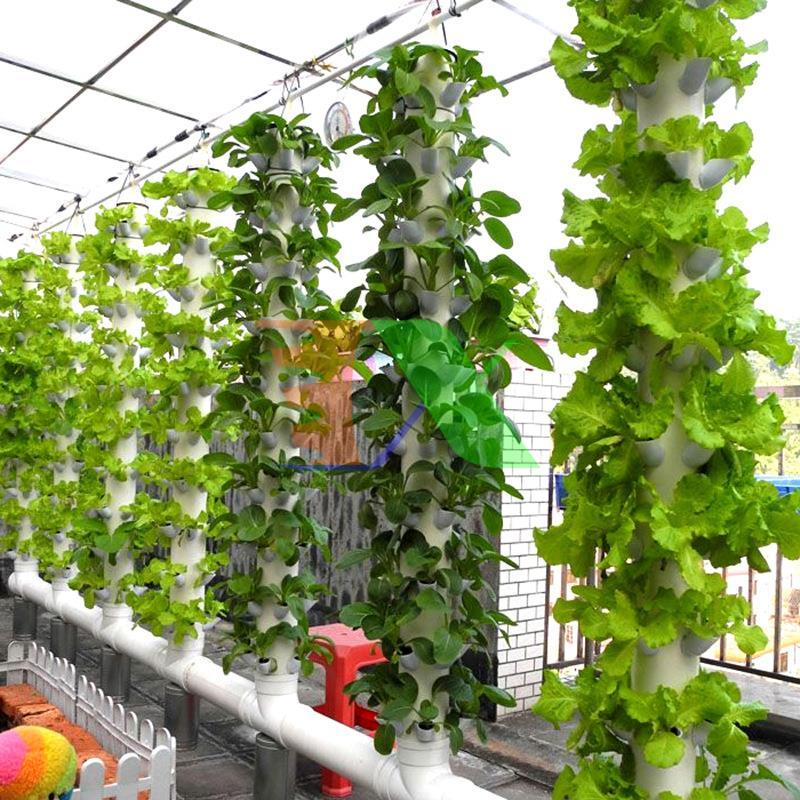 Ear aeroponics, Cup hydroponic cylinder đứng set 32 ear + 32 tablets sucking sponge D32H32, aeroponics cylindrical đứng