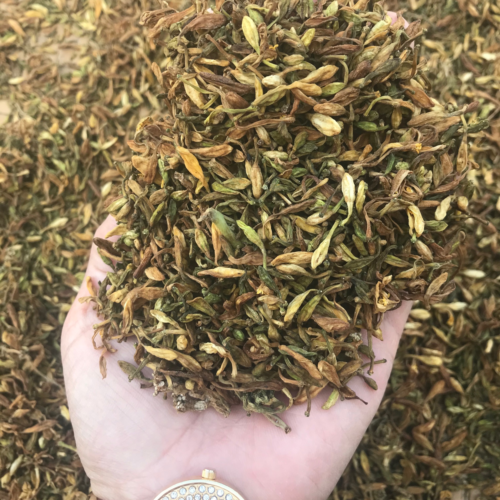 Hoa đu đủ khô (100g)