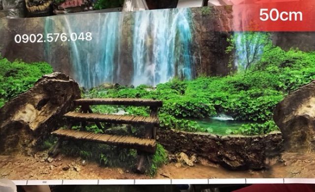 [HCM]Tranh hồ cá cao 50cm 1m
