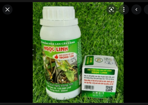 Combo diệt thối nhũn A8 - T8 Ngọc Linh
