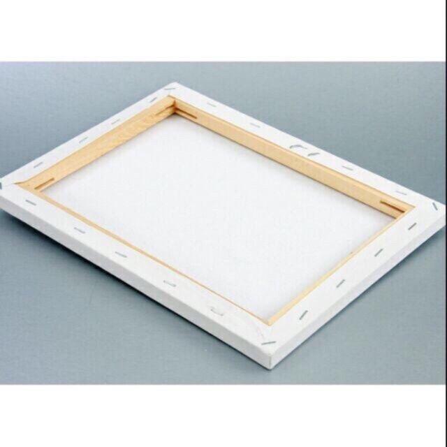 Combo 10 toan vẽ tranh 20x30 cm căng sẵn