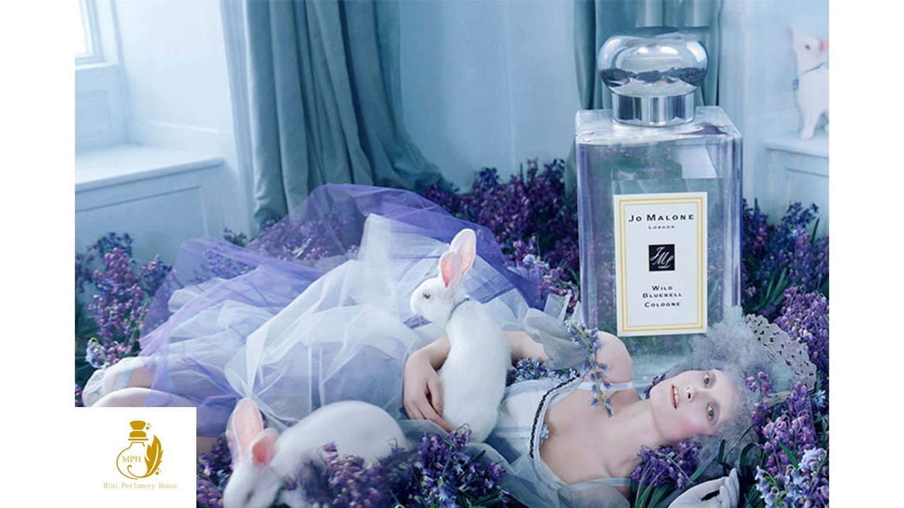 [HCM]Nước hoa dùng thử Jo Malone Wild Bluebell dung tích 5 ml