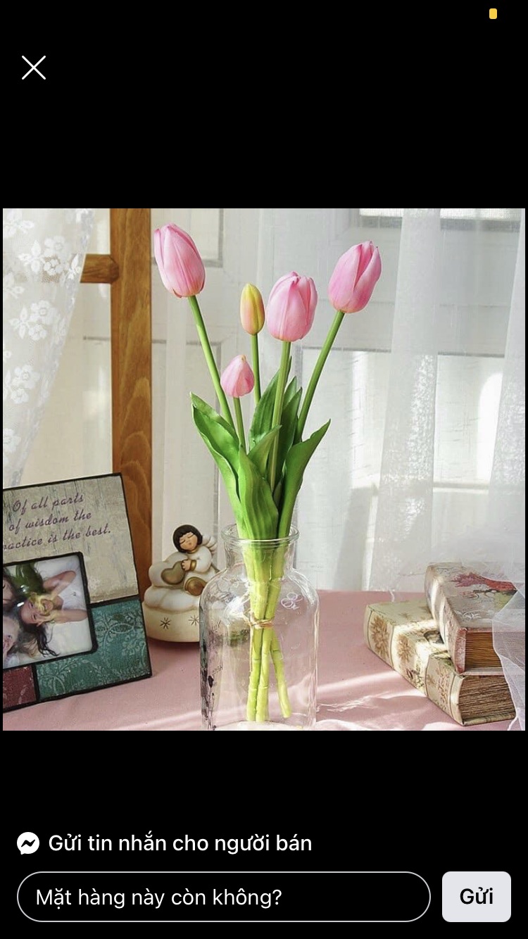 Bó hoa tulip cao cấp 3 bông 2 nụ