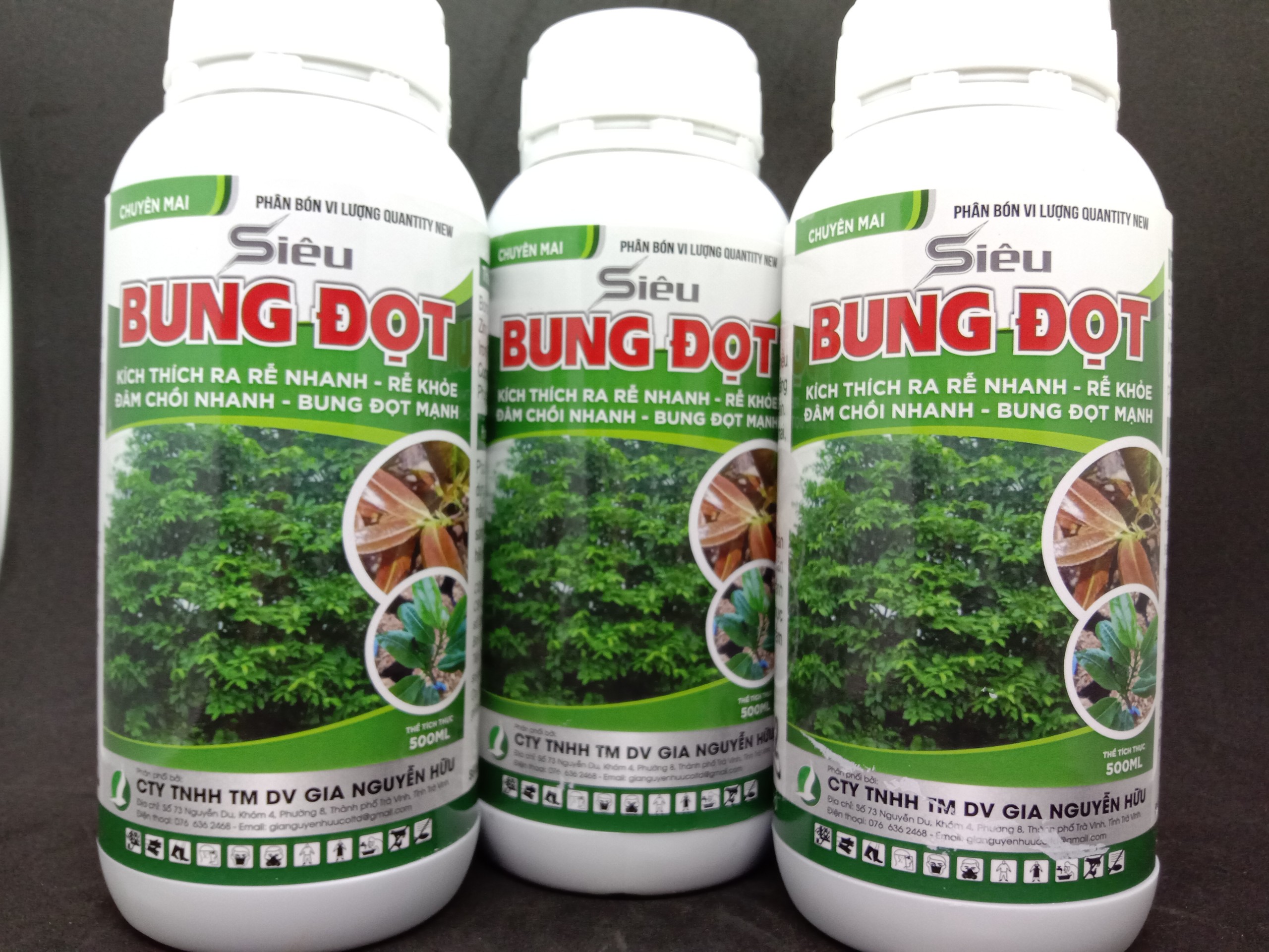 RA RỄ BUNG ĐỌT MAI VÀNG (siêu bung đọt chai 500ml)