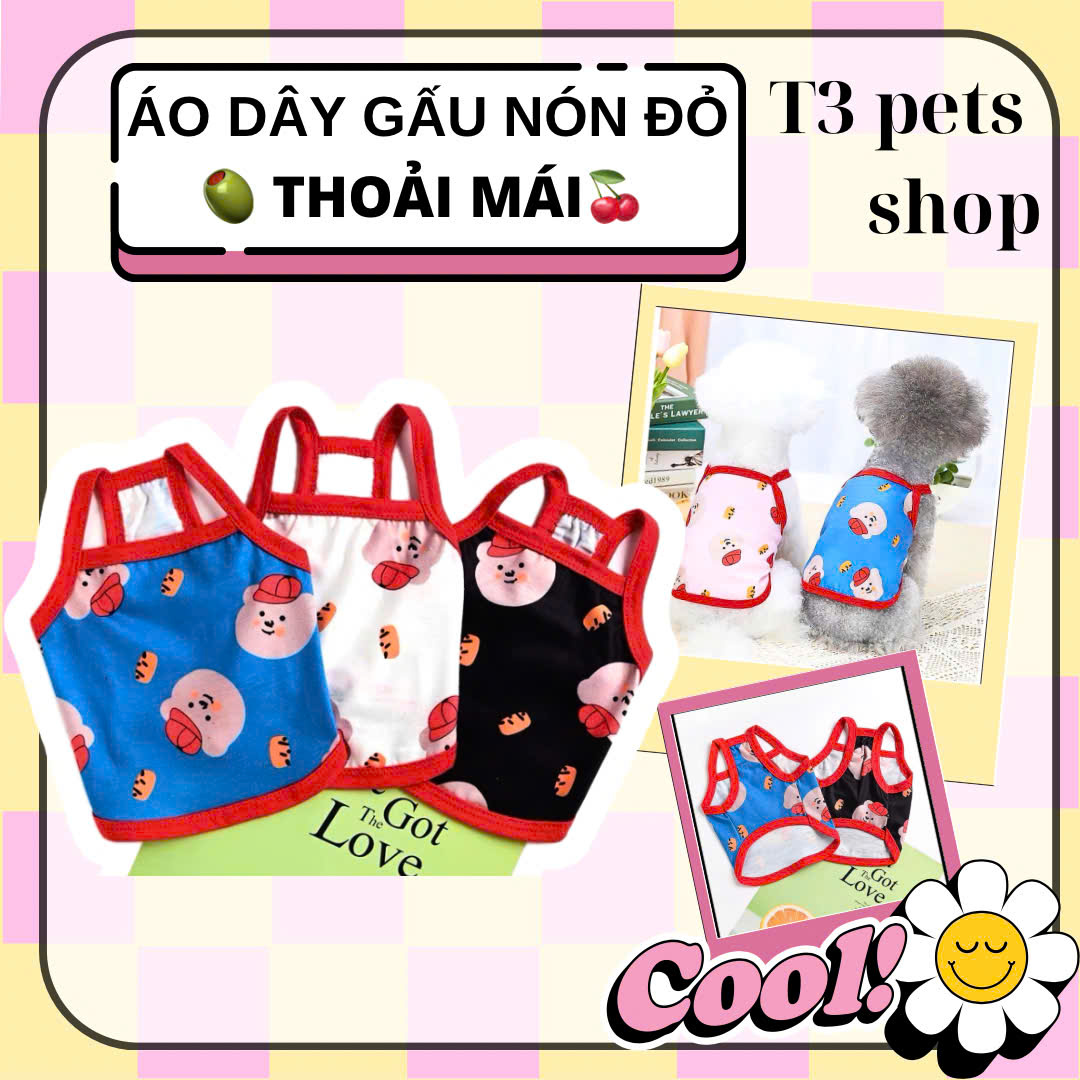 áo 2 dây in bear đội nón đỏ cho chó mèo - T3 PETS SHOP