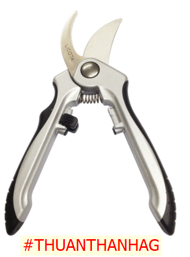 [Ảnh thật] [Chính hãng] Kéo cắt cành LICOTA FSH75