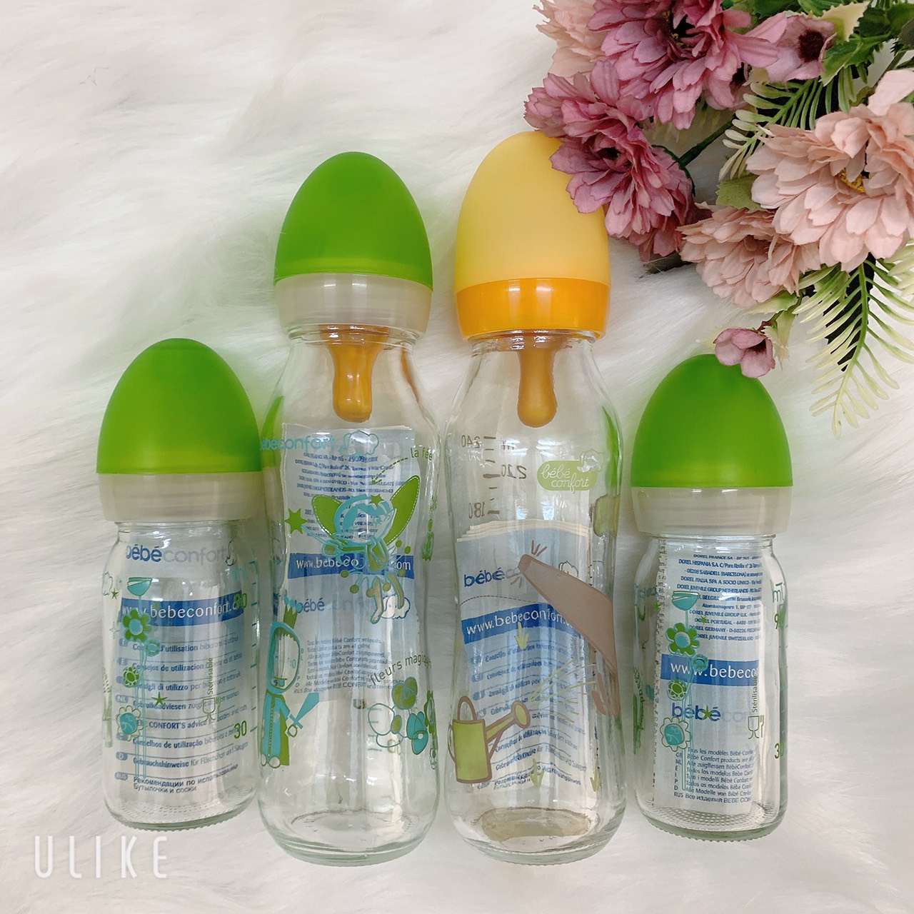 Bình sữa thủy tinh Bebeconfort