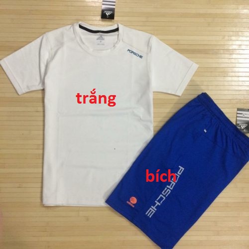 ÁO THUN POLO NAM TRẮNG VIỀN CỒ KIỂU
