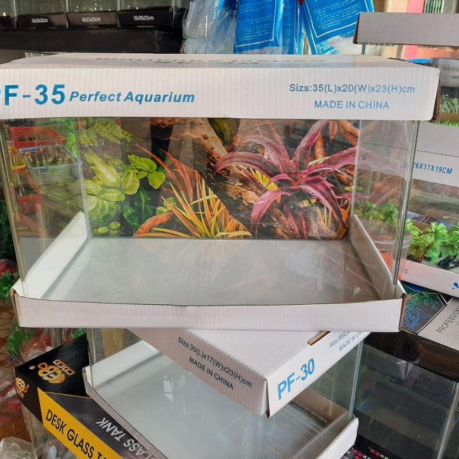 Hồ đúc mini thủy sinh dài 35cm, bể cá, hồ cá được uốn công 2 mặt trước giá siêu rẻ