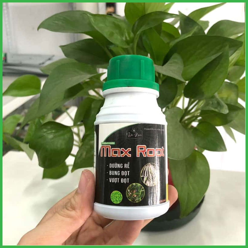 Phân Bón Max Root Siêu Kích Rễ - Dưỡng Rễ Và Bung Đọt