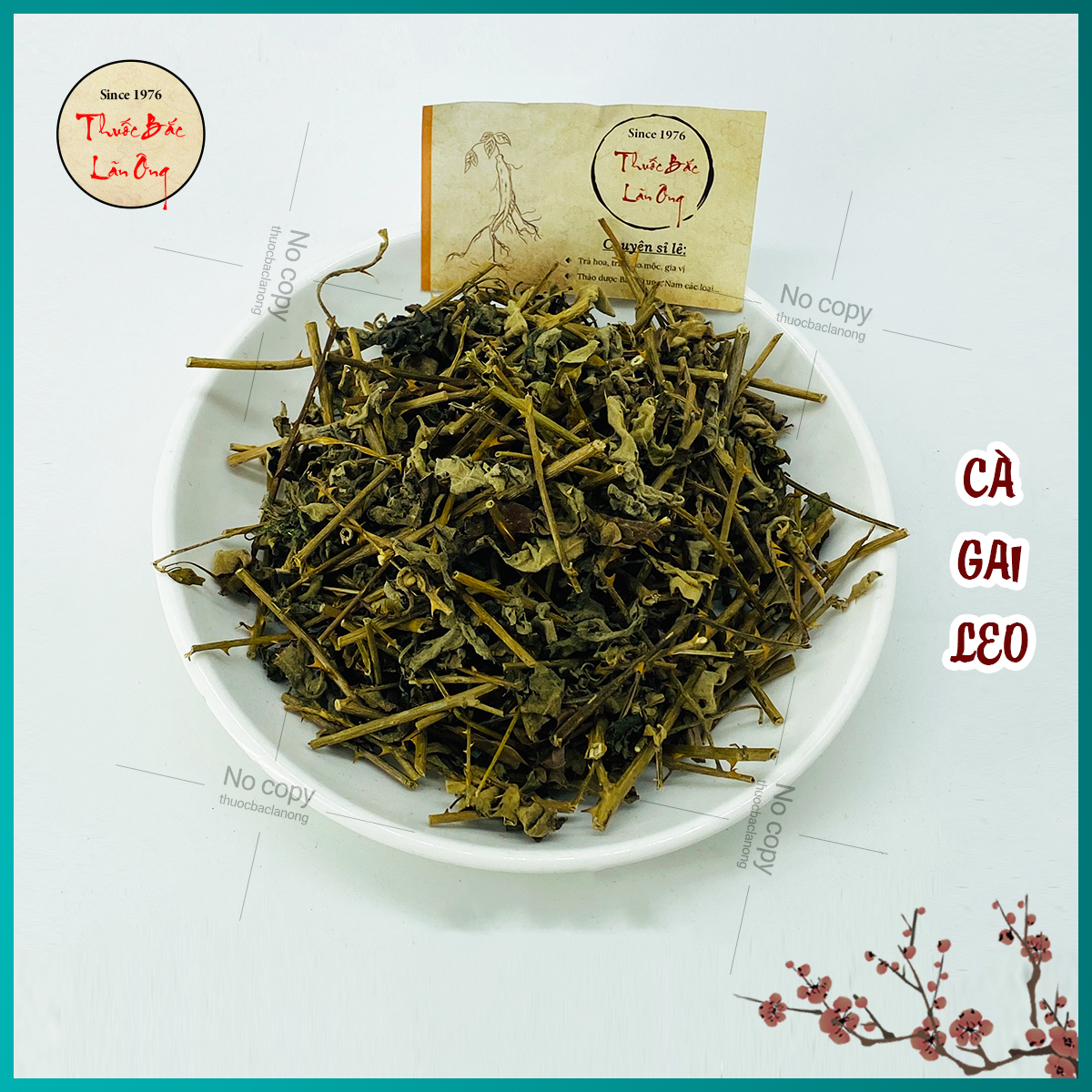 100g cà gai leo