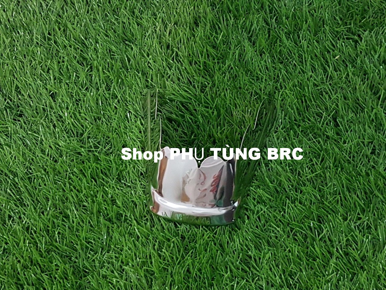 Bộ ốp mỏ dè INOX trước sau xe DREAM II