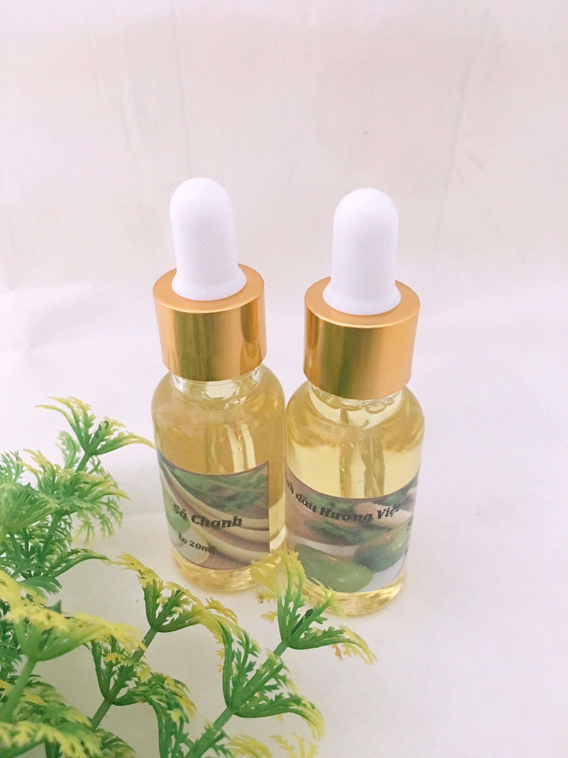 Tinh dầu Sả Chanh nguyên chất lọ 10ml