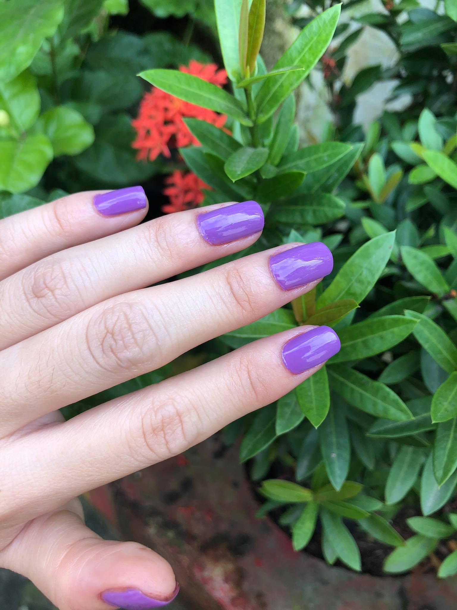 Sơn Móng Tay OPI màu tím môn sang trọng