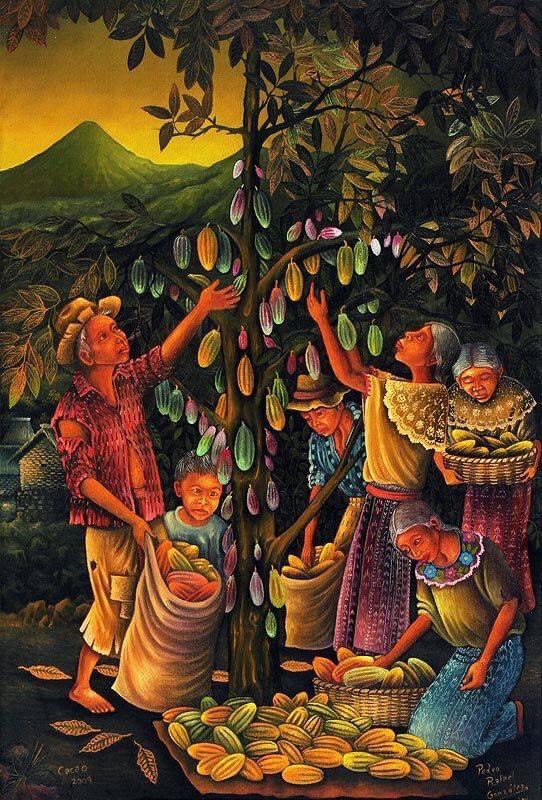 CACAO CRIOLLO HỮU CƠ PERU NGUYÊN CHẤT 200G